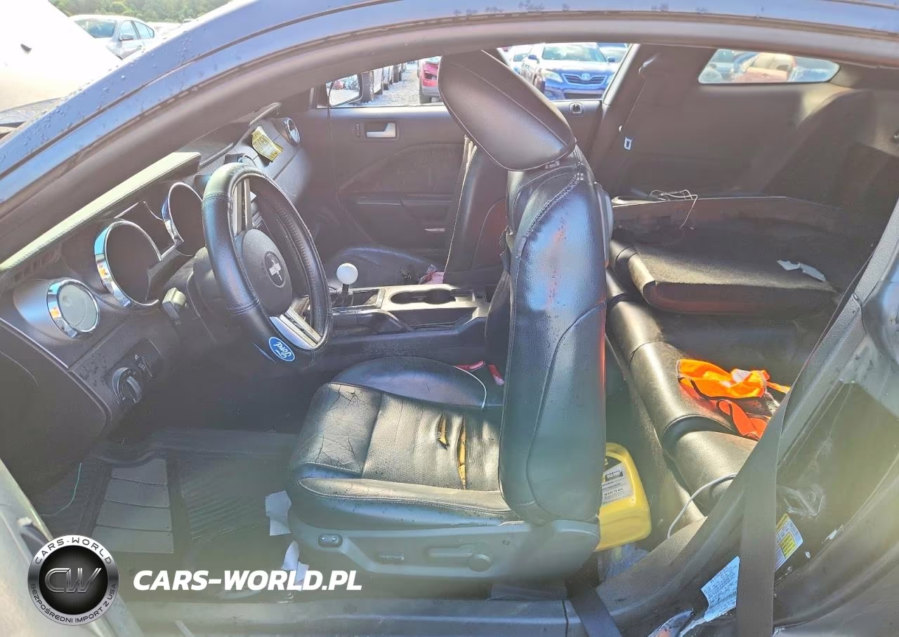 2007 Ford Mustang Gt VIN:1ZVHT82HX75256393 - 7