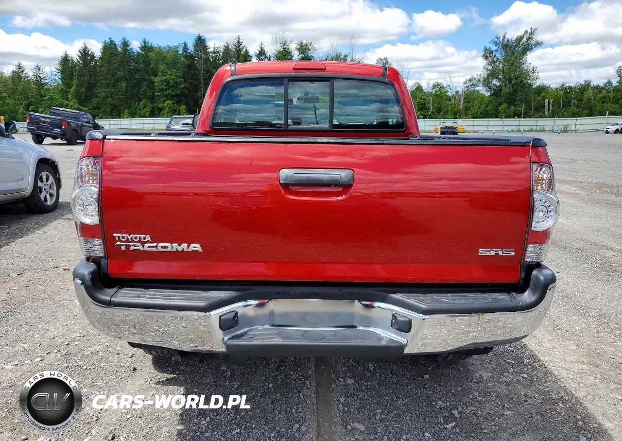 2009 Toyota Tacoma Base VIN:5TEPX42N29Z614782 - 6