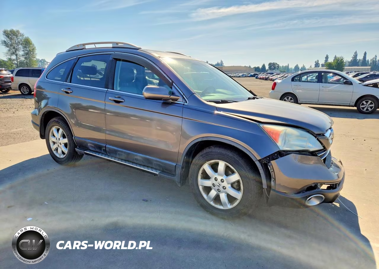 2009 Honda Cr-V Exl VIN:5J6RE38789L008705 - 4