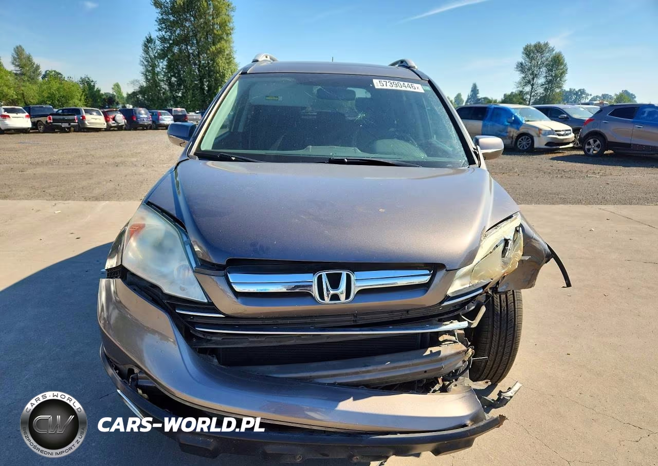 2009 Honda Cr-V Exl VIN:5J6RE38789L008705 - 5