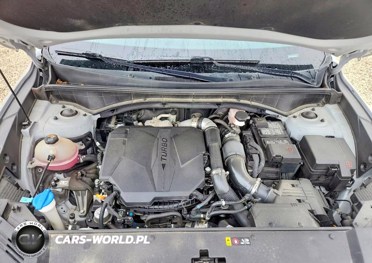 2023 Kia Sorento Sx Prestige VIN:5XYRKDLF4PG162291 - 12
