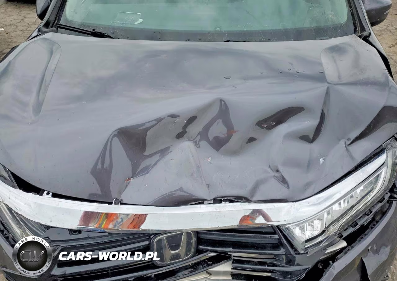 2023 Honda Odyssey Exl VIN:5FNRL6H68PB010653 - 12