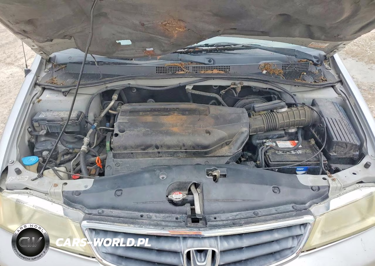 2002 Honda Odyssey Exl VIN:2HKRL18032H514861 - 12