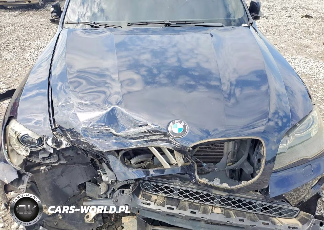 2007 BMW X5 4.8I VIN:5UXFE83577LZ45990 - 11