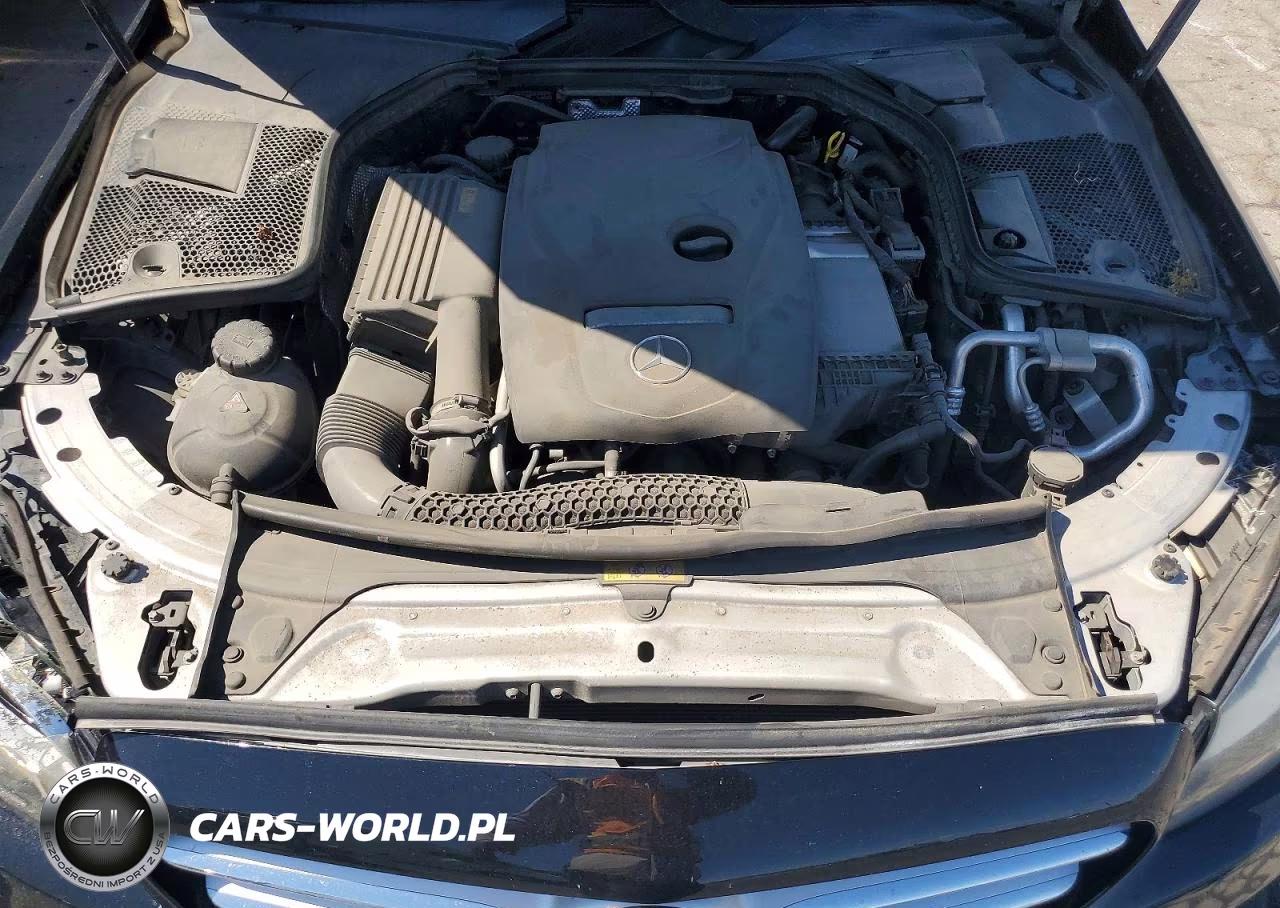 2017 Mercedes-Benz C 300 4Matic VIN:55SWF4KB0HU193499 - 11