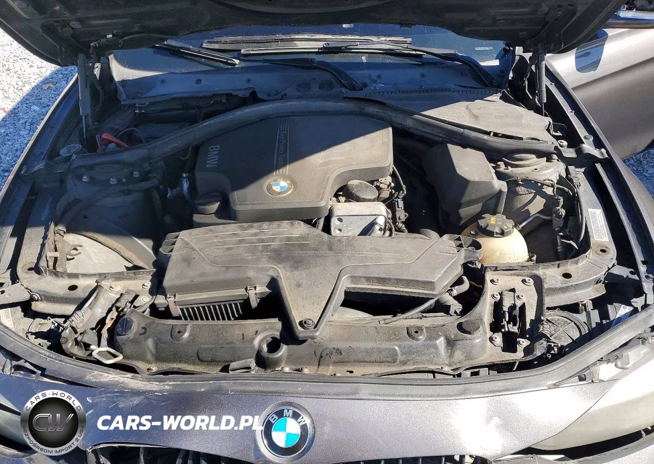 2015 BMW 320 I xDrive VIN:WBA3C3G51FNT51838 - 11