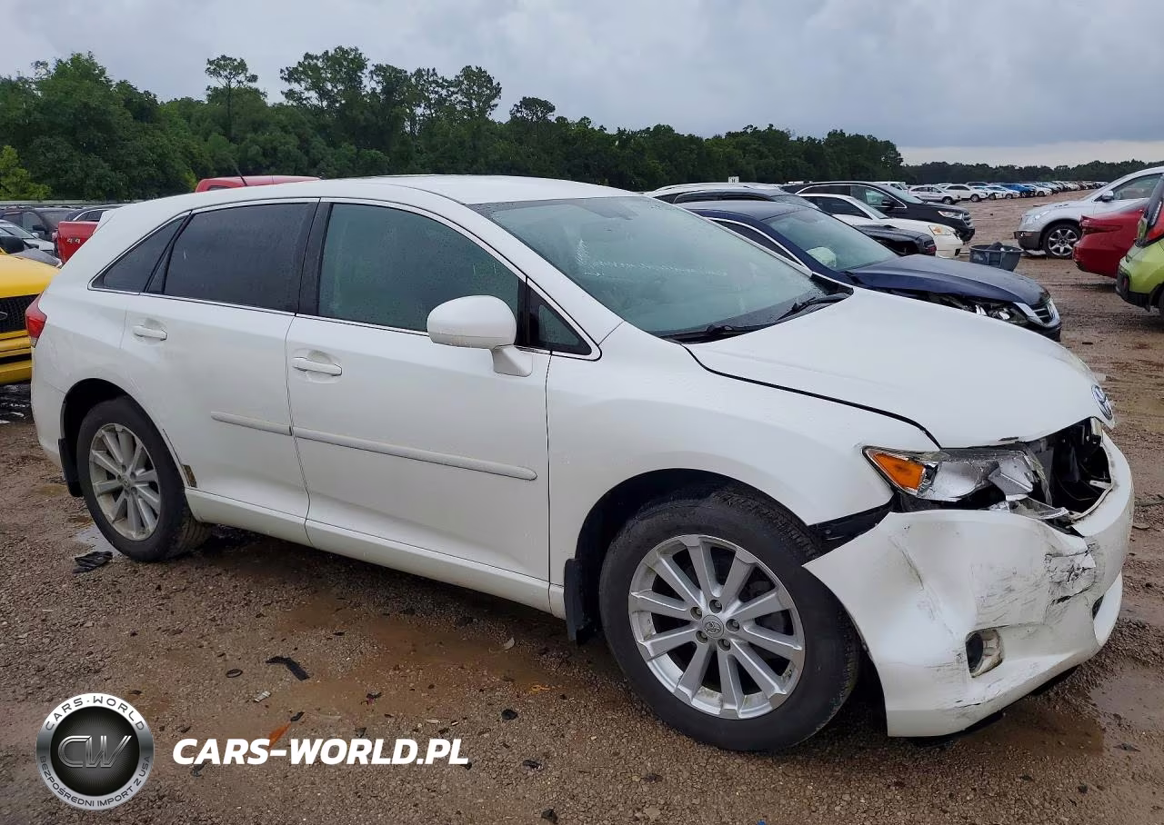 2009 Toyota Venza Fwd 4Cyl VIN:4T3ZE11A69U009221 - 4