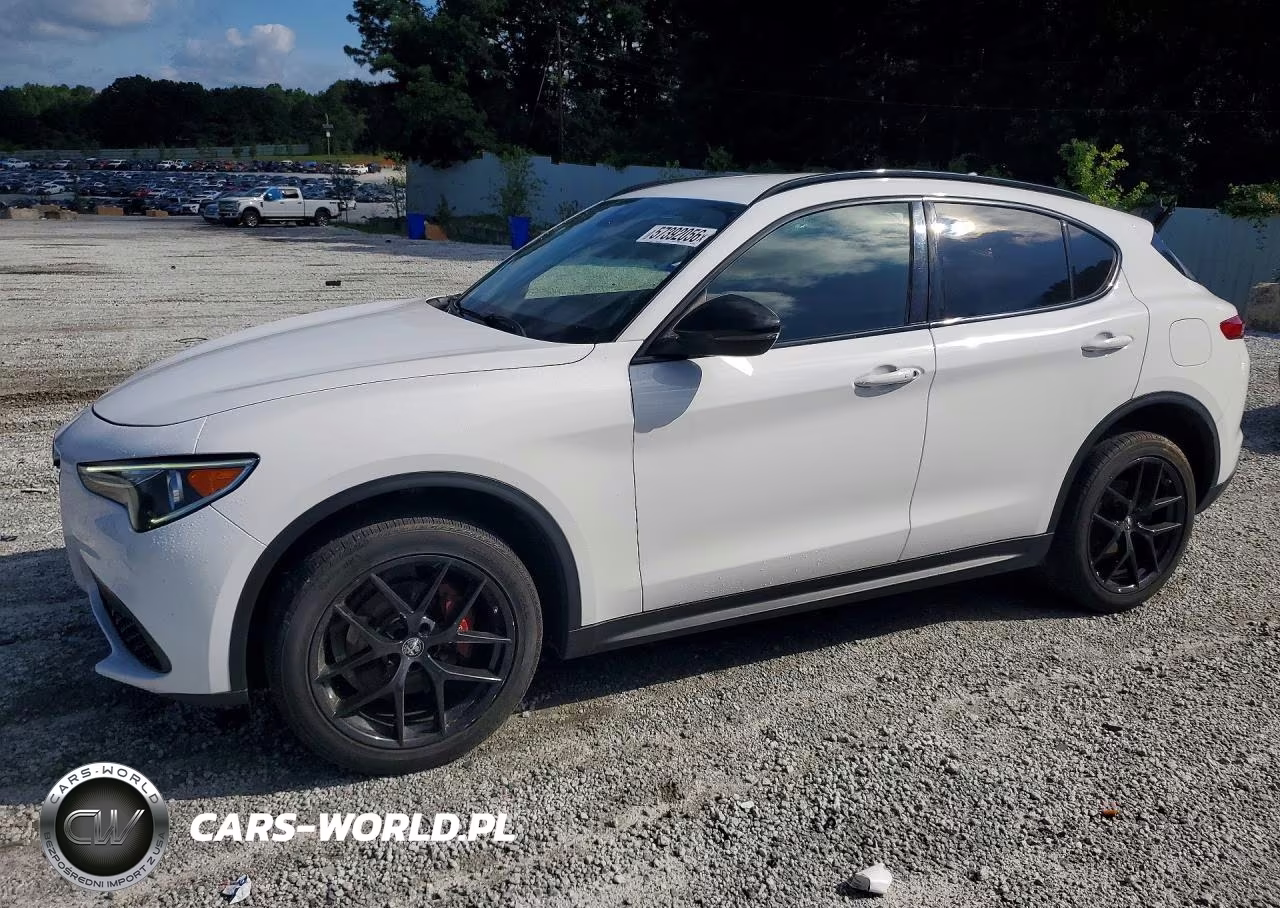 2020 Alfa Romeo Stelvio – zdjęcie 1 z 13