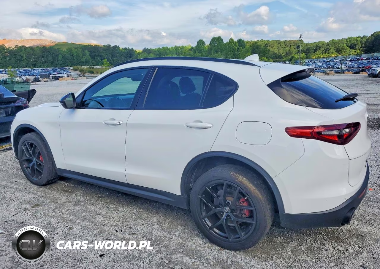 2020 Alfa Romeo Stelvio VIN:ZASPAJAN6L7C74852 - 2