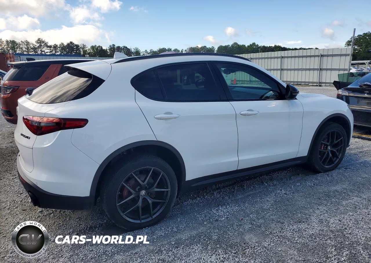 2020 Alfa Romeo Stelvio VIN:ZASPAJAN6L7C74852 - 3