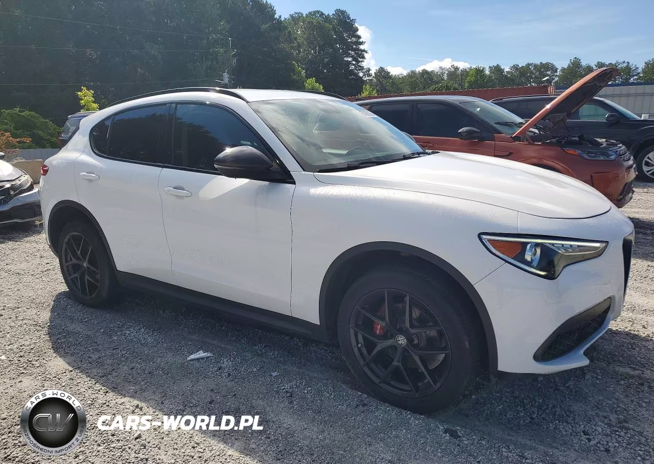 2020 Alfa Romeo Stelvio VIN:ZASPAJAN6L7C74852 - 4