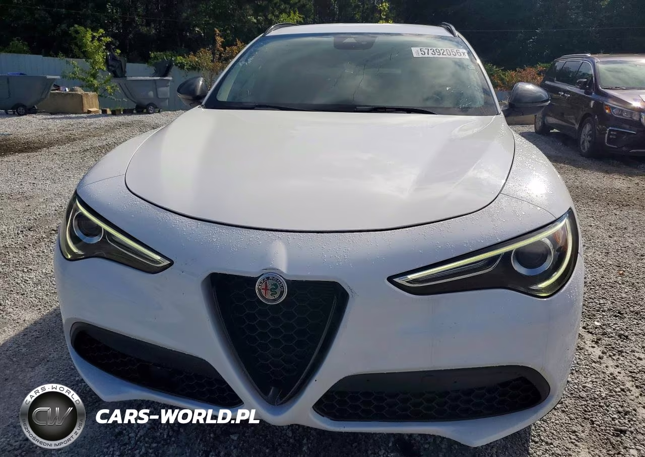 2020 Alfa Romeo Stelvio VIN:ZASPAJAN6L7C74852 - 5