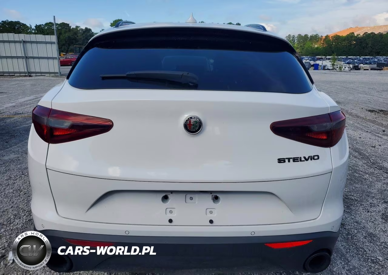 2020 Alfa Romeo Stelvio VIN:ZASPAJAN6L7C74852 - 6