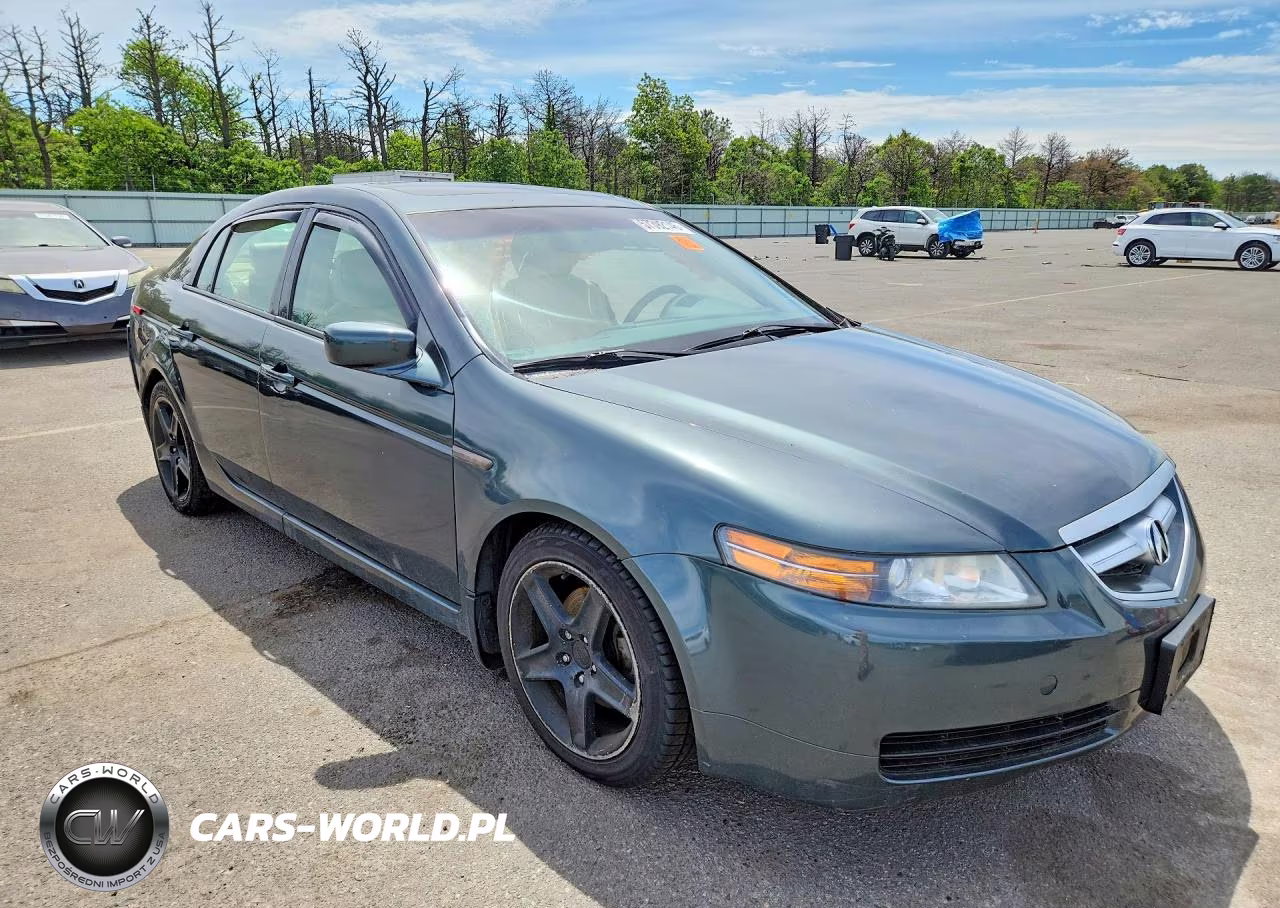 2004 Acura Tl VIN:19UUA66254A010695 - 4