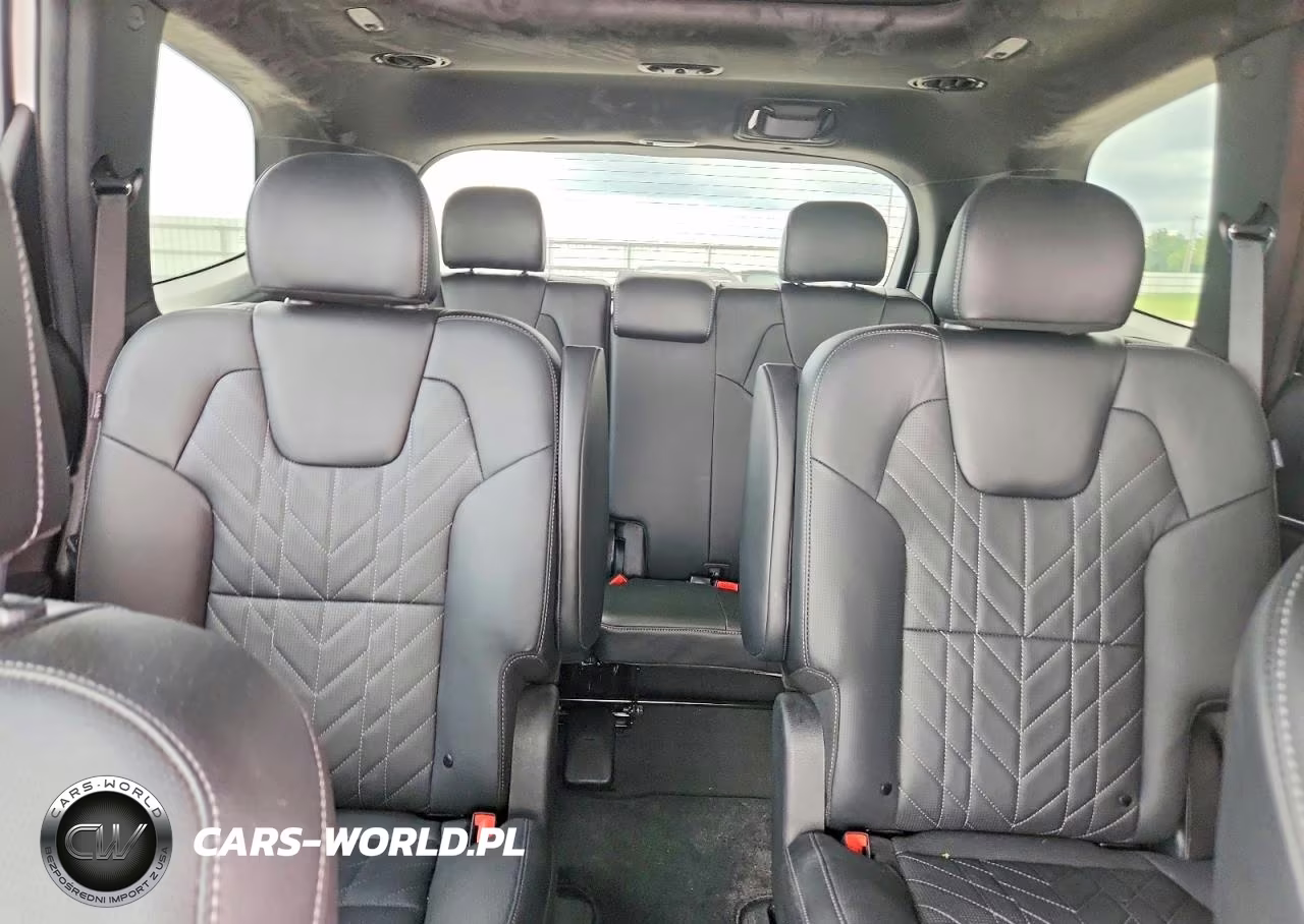 2024 Kia Telluride Sx-Prestige X-Line VIN:5XYP5DGC4RG543818 - 10