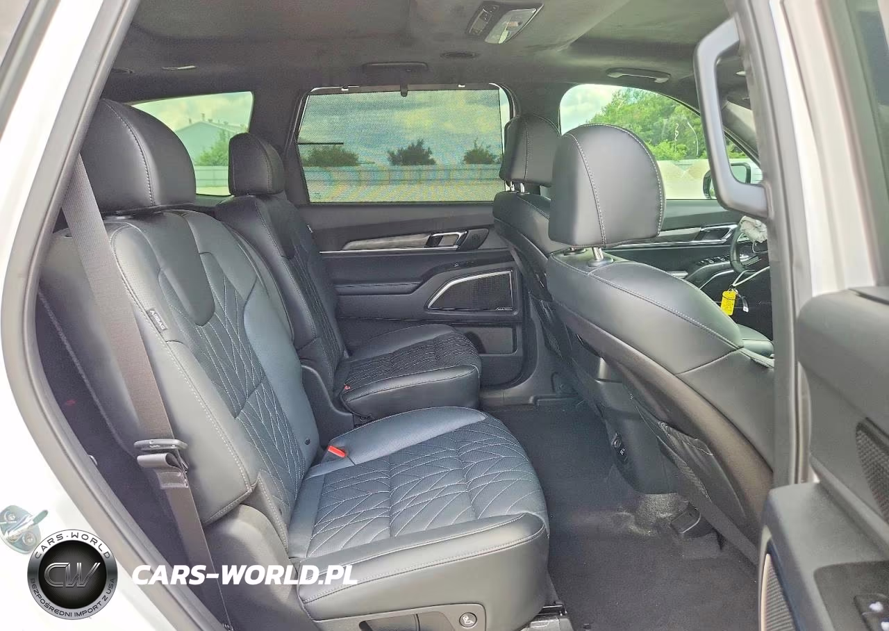2024 Kia Telluride Sx-Prestige X-Line VIN:5XYP5DGC4RG543818 - 11