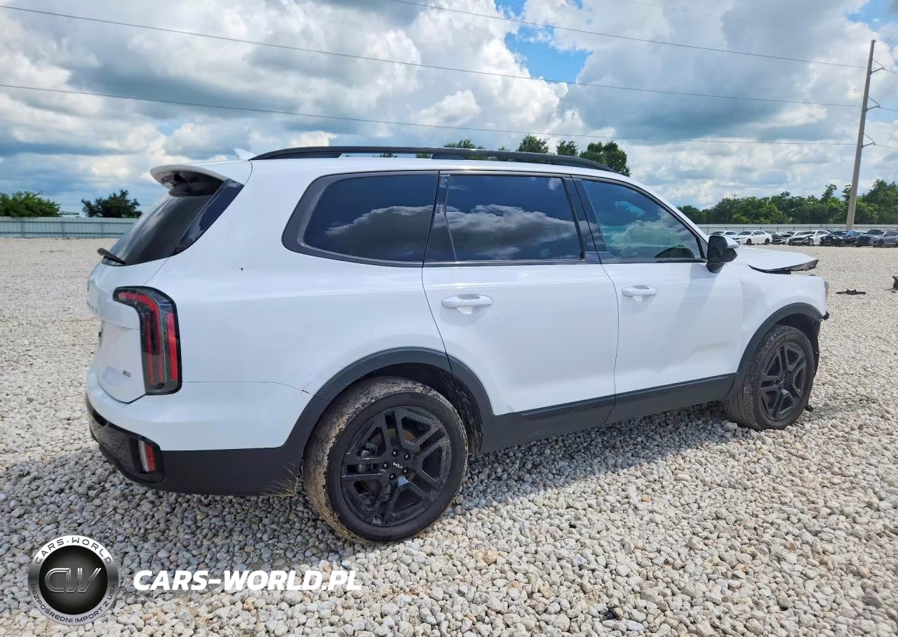 2024 Kia Telluride Sx-Prestige X-Line VIN:5XYP5DGC4RG543818 - 3