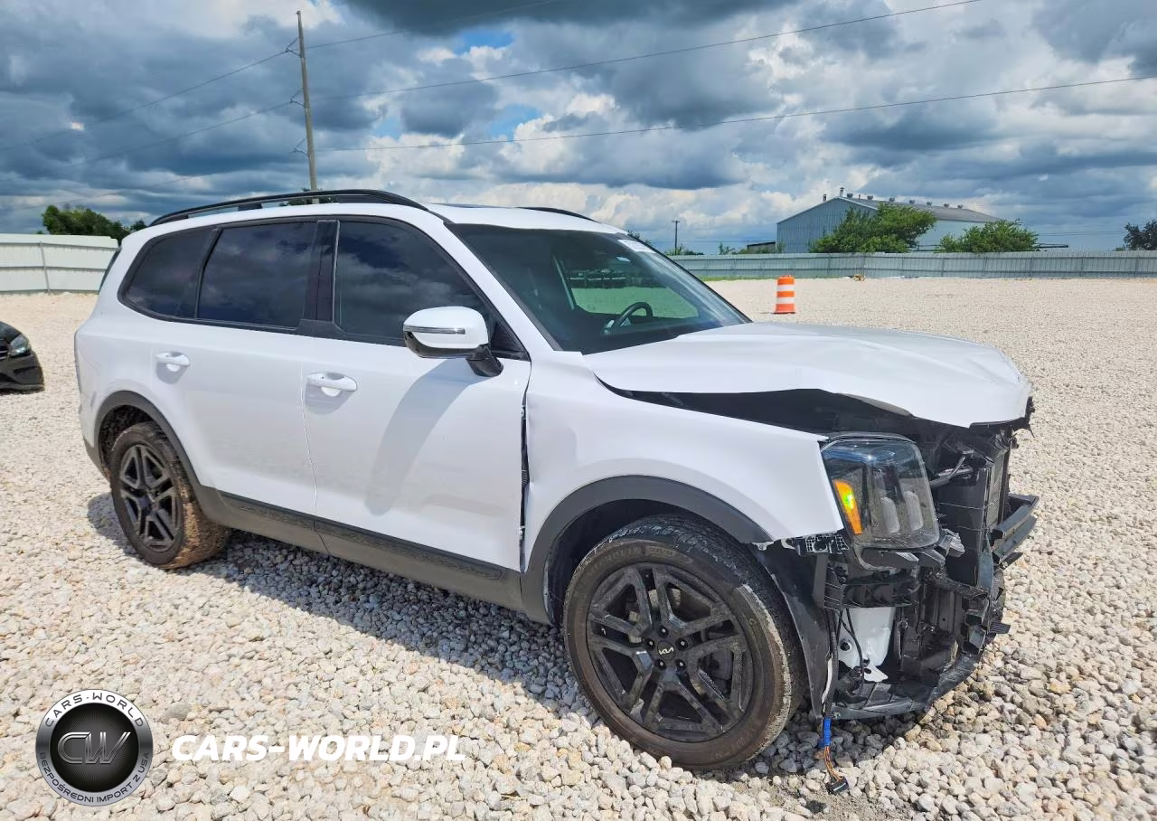 2024 Kia Telluride Sx-Prestige X-Line VIN:5XYP5DGC4RG543818 - 4