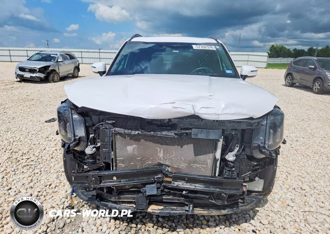 2024 Kia Telluride Sx-Prestige X-Line VIN:5XYP5DGC4RG543818 - 5