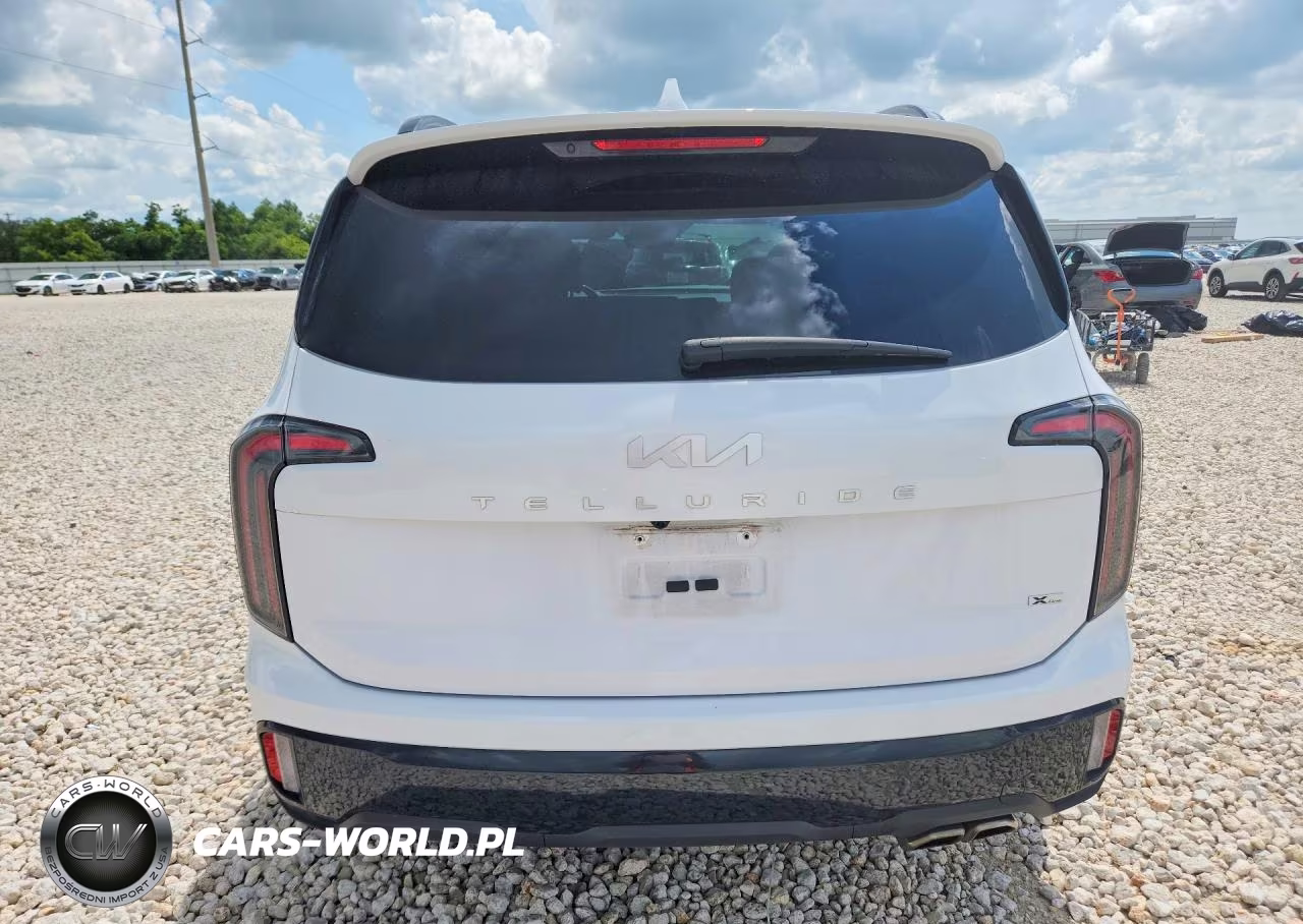 2024 Kia Telluride Sx-Prestige X-Line VIN:5XYP5DGC4RG543818 - 6