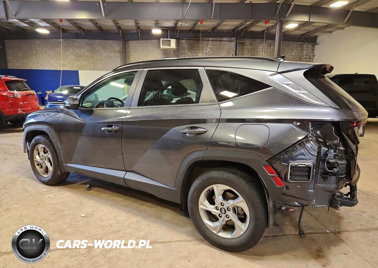 2023 Hyundai Tucson Sel VIN:5NMJBCAE2PH192574 - 2
