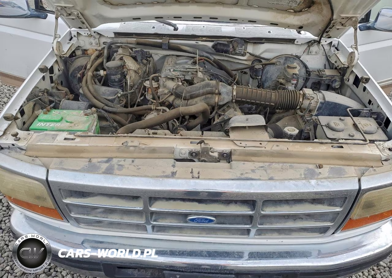 1996 Ford F-150 VIN:1FTEF14N8TLA97550 - 11