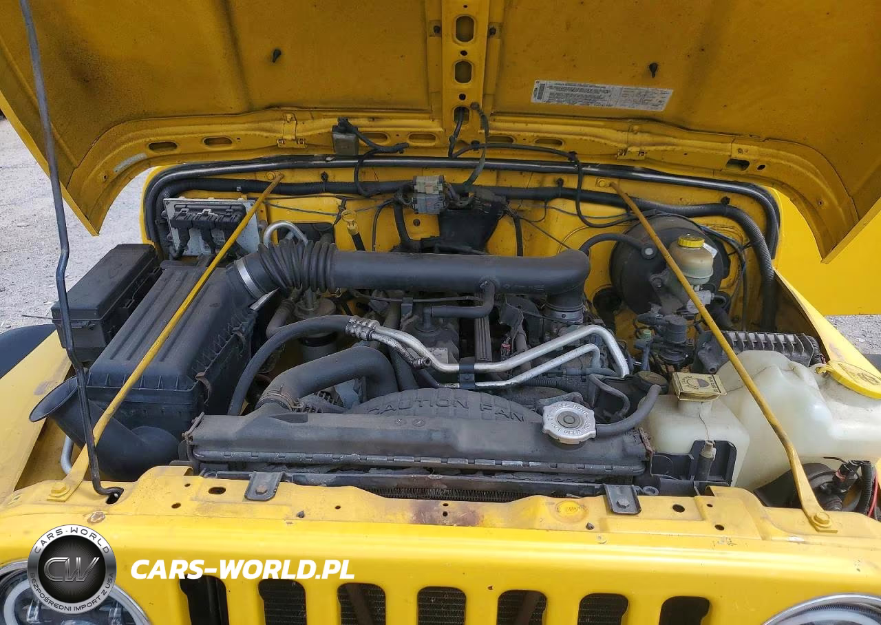 2004 Jeep Wrangler X VIN:1J4FA39S94P708574 - 11