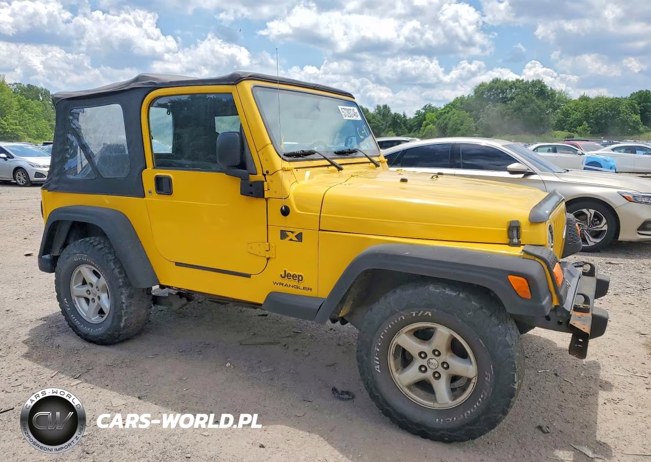 2004 Jeep Wrangler X VIN:1J4FA39S94P708574 - 4
