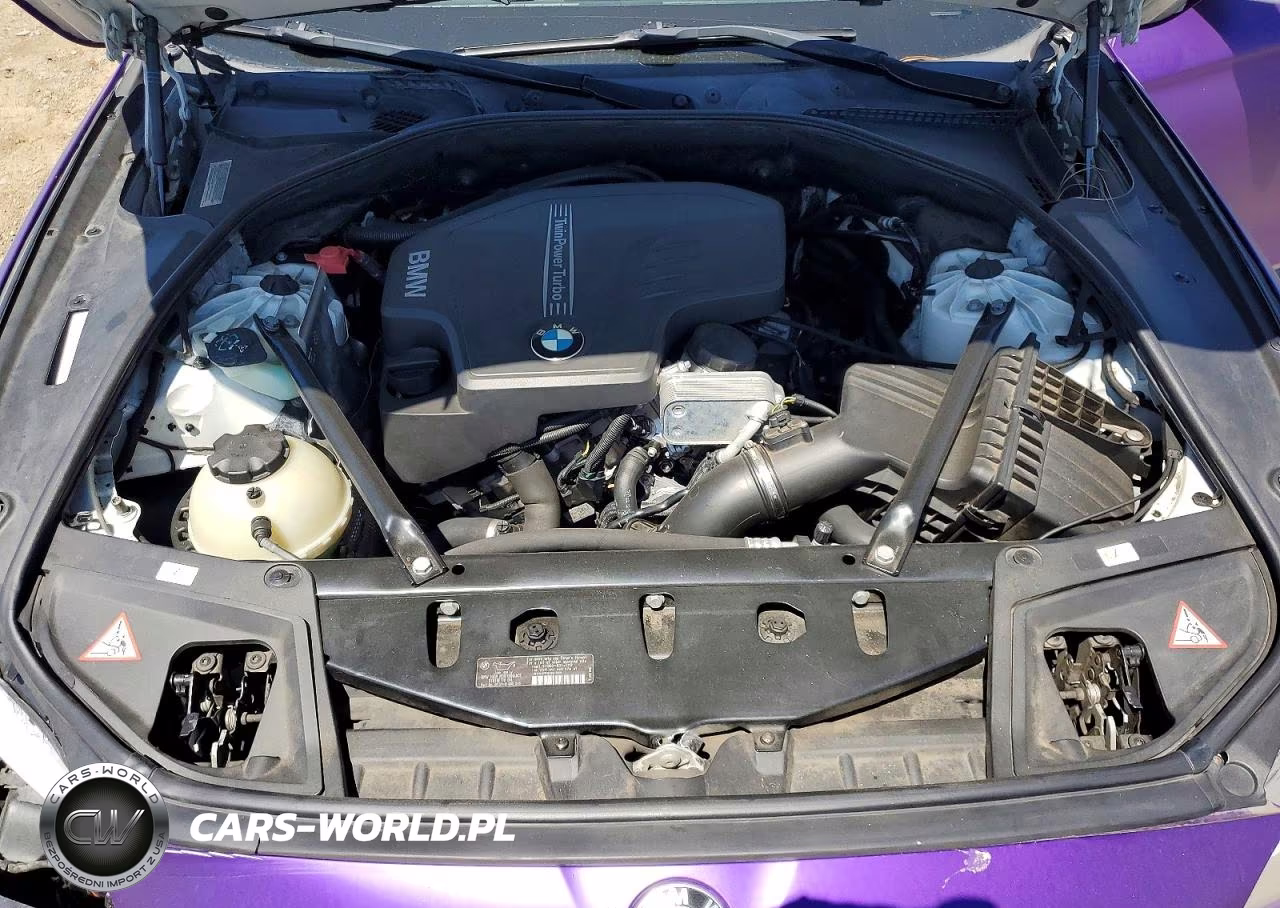 2013 BMW 528 I VIN:WBAXG5C56DD232113 - 11