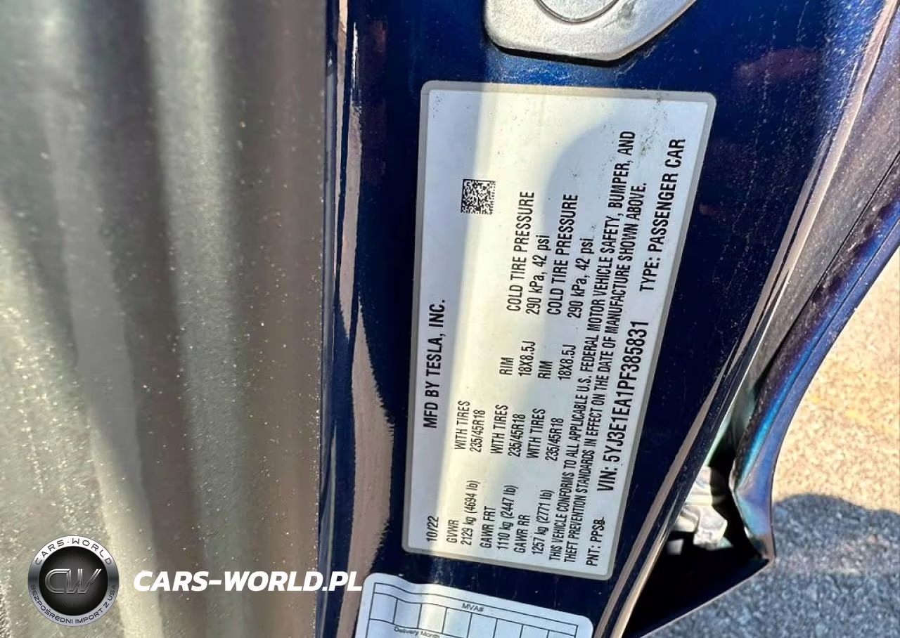 2023 Tesla Model 3 VIN:5YJ3E1EA1PF385831 - 10