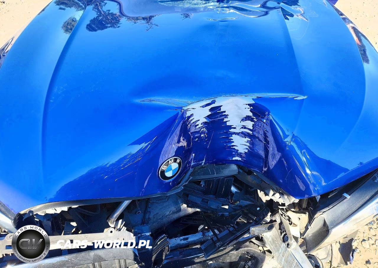 2019 BMW 330I VIN:WBA5R1C52KAE81617 - 11
