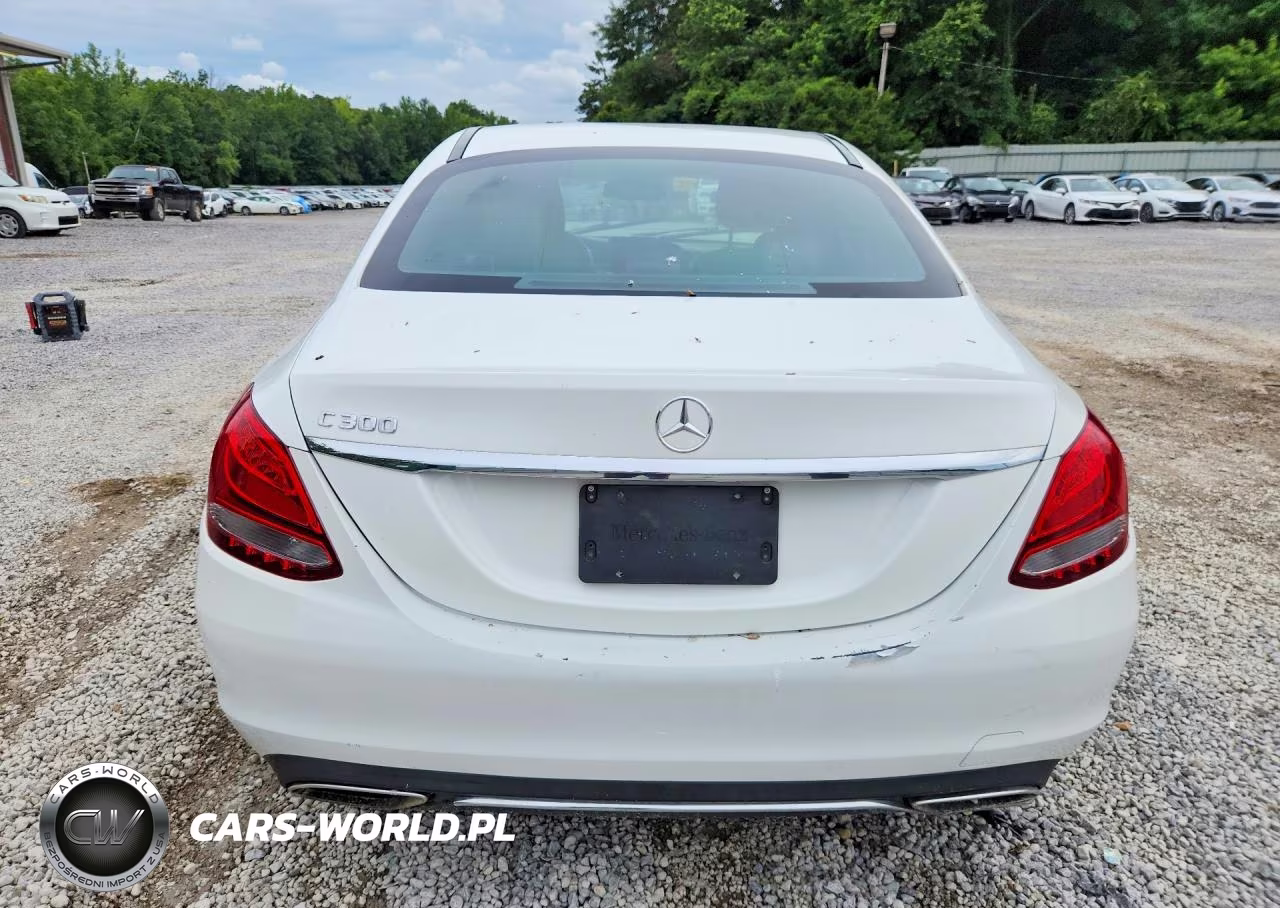 2018 Mercedes-Benz C 300 VIN:55SWF4JB6JU245340 - 6