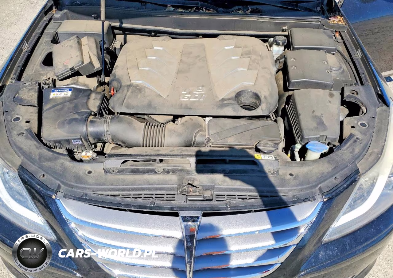 2014 Hyundai Genesis 5.0L VIN:KMHGC4DH0EU266143 - 11