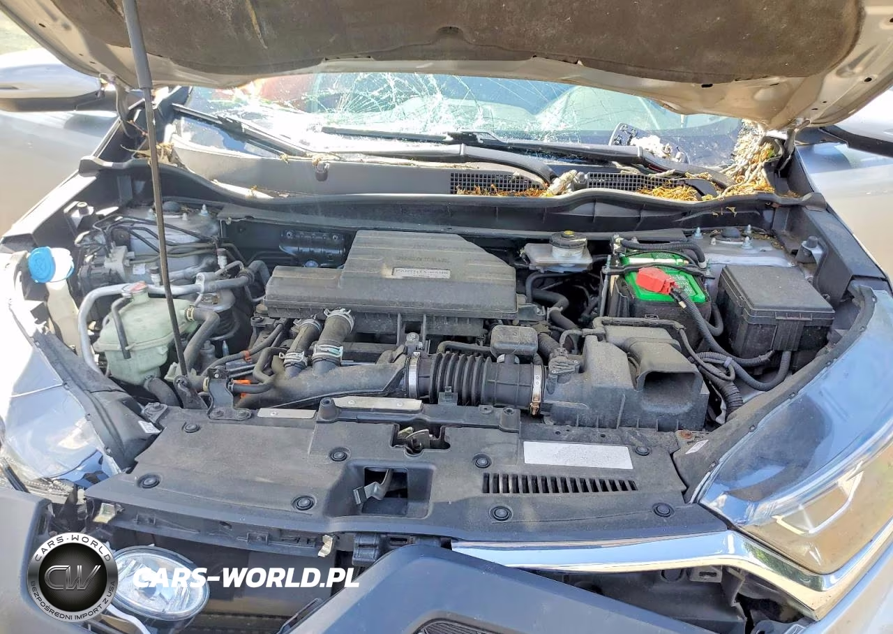 2019 Honda Cr-V Ex VIN:5J6RW2H51KL034445 - 12