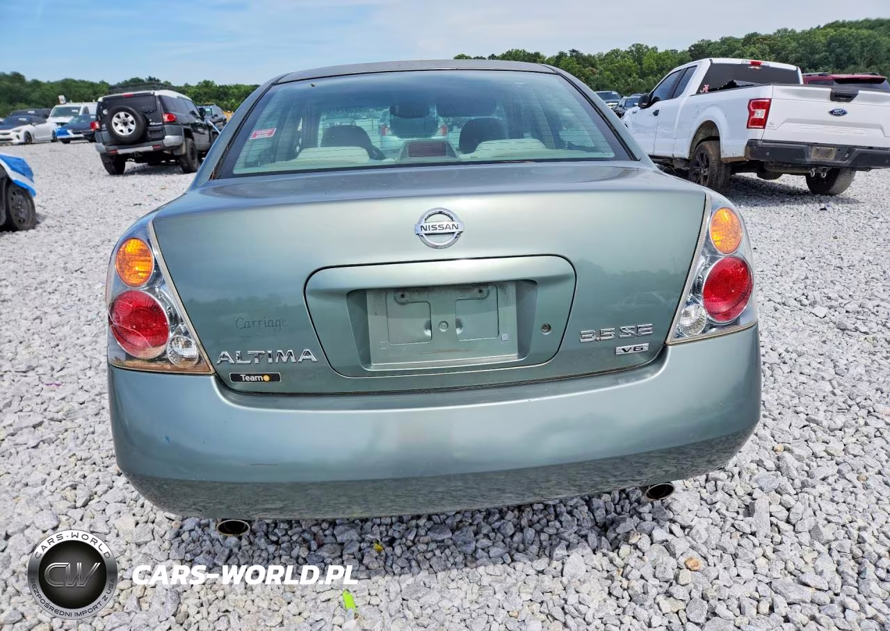 2004 Nissan Altima Se VIN:1N4BL11D24C143260 - 6