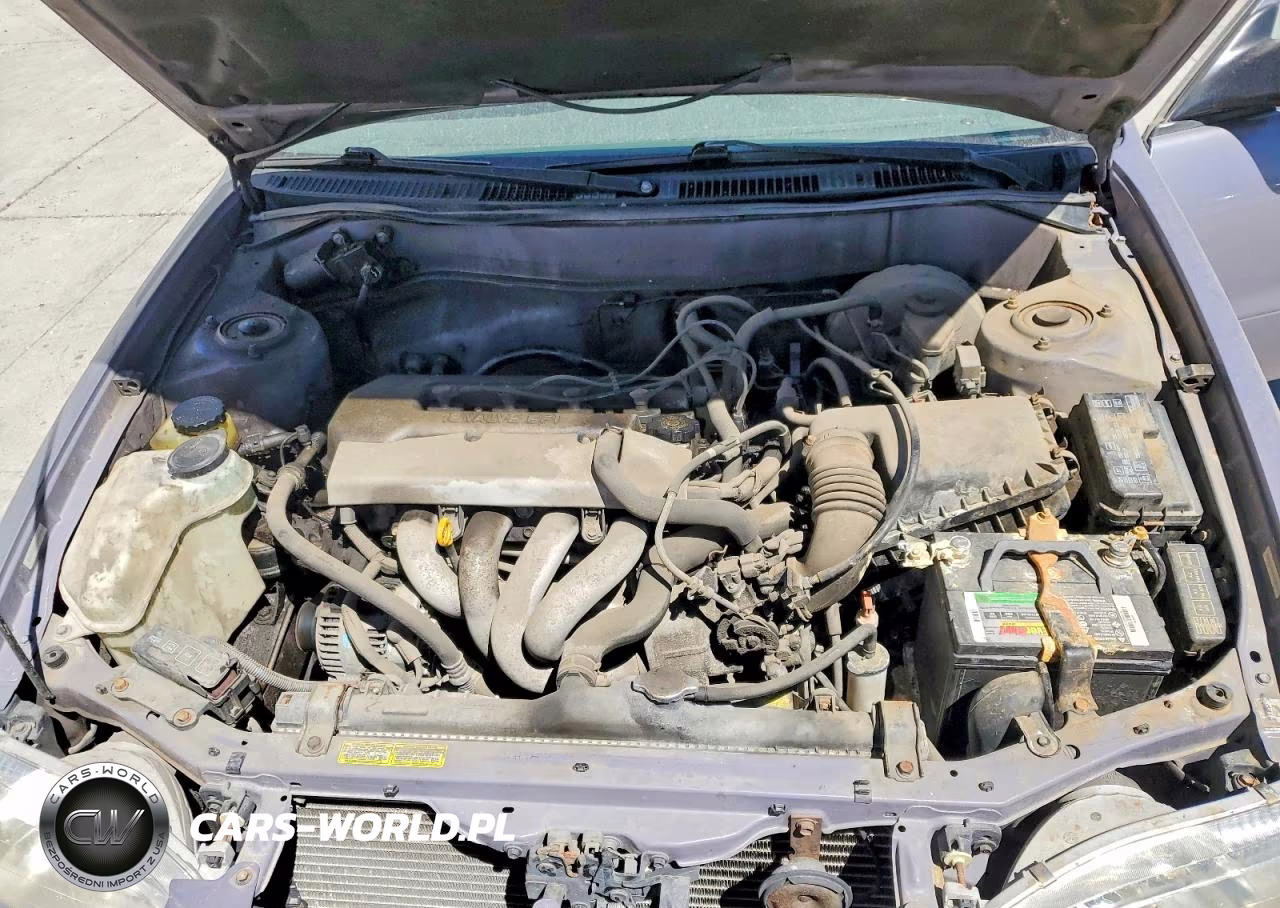 1998 Toyota Corolla Ve VIN:2T1BR12E8WC006575 - 11