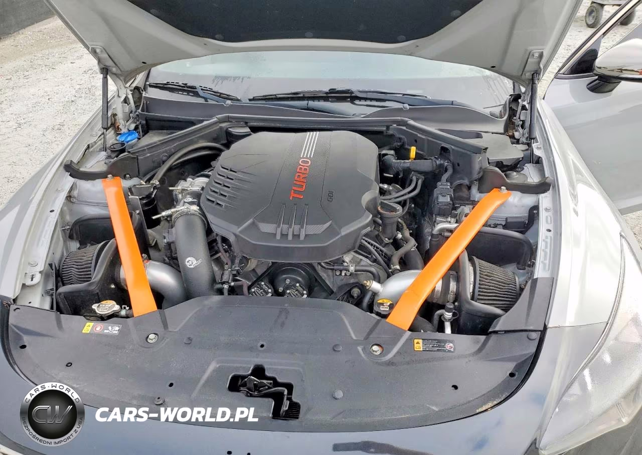 2019 Kia Stinger Gt1 VIN:KNAE45LC9K6061454 - 11