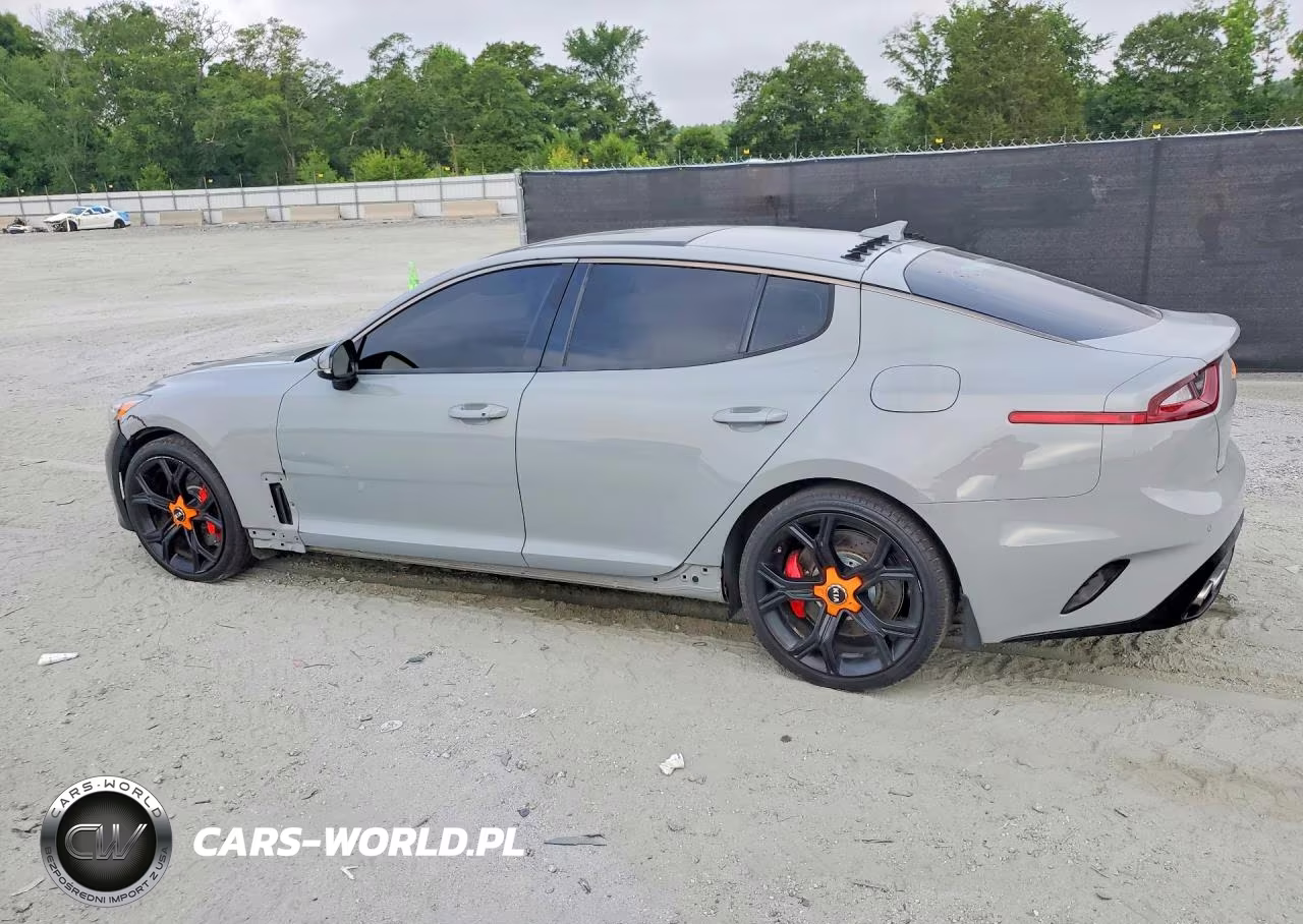 2019 Kia Stinger Gt1 VIN:KNAE45LC9K6061454 - 2