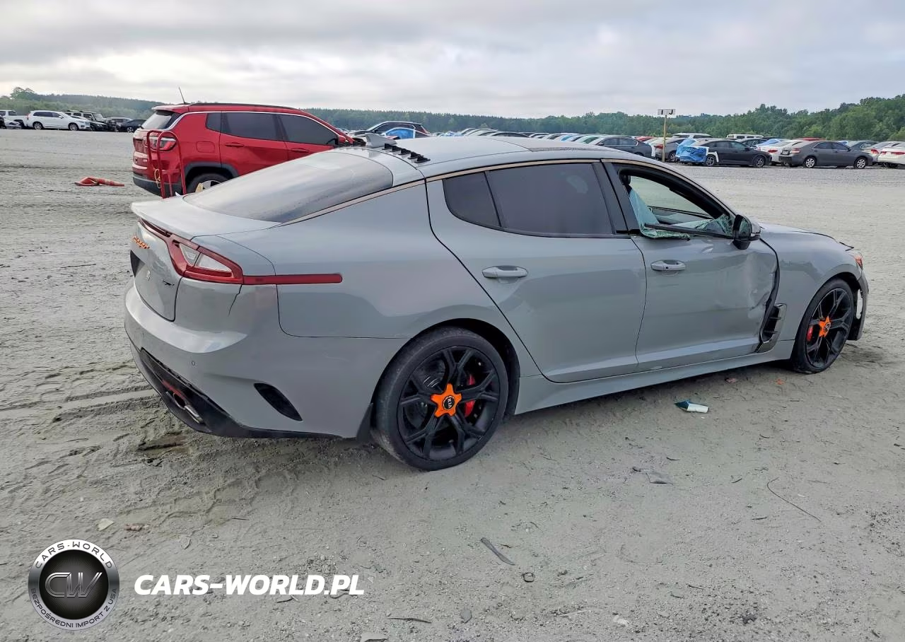 2019 Kia Stinger Gt1 VIN:KNAE45LC9K6061454 - 3