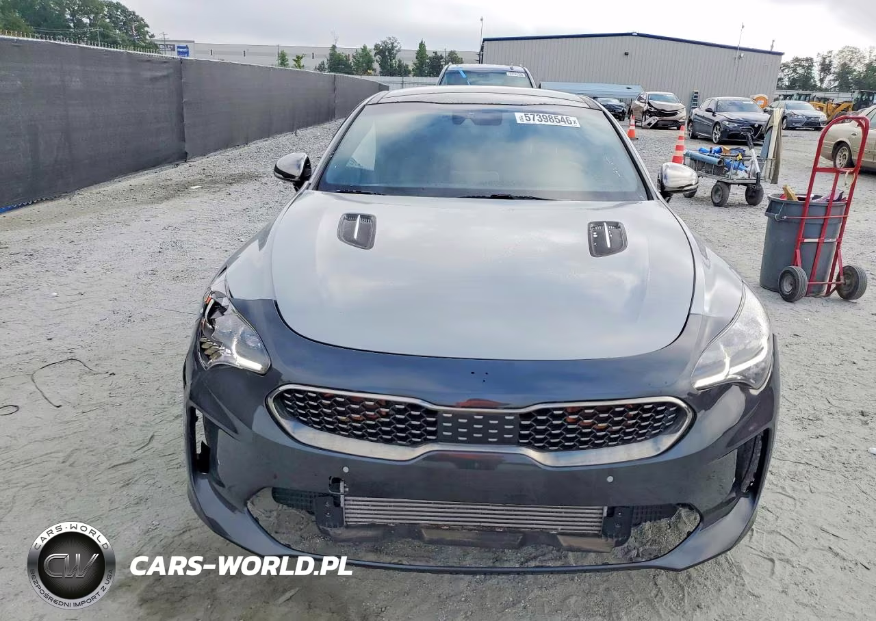 2019 Kia Stinger Gt1 VIN:KNAE45LC9K6061454 - 5