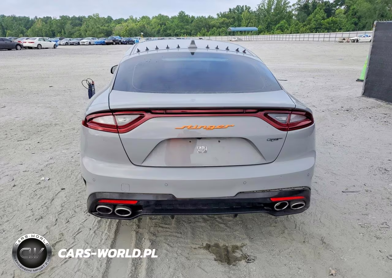 2019 Kia Stinger Gt1 VIN:KNAE45LC9K6061454 - 6