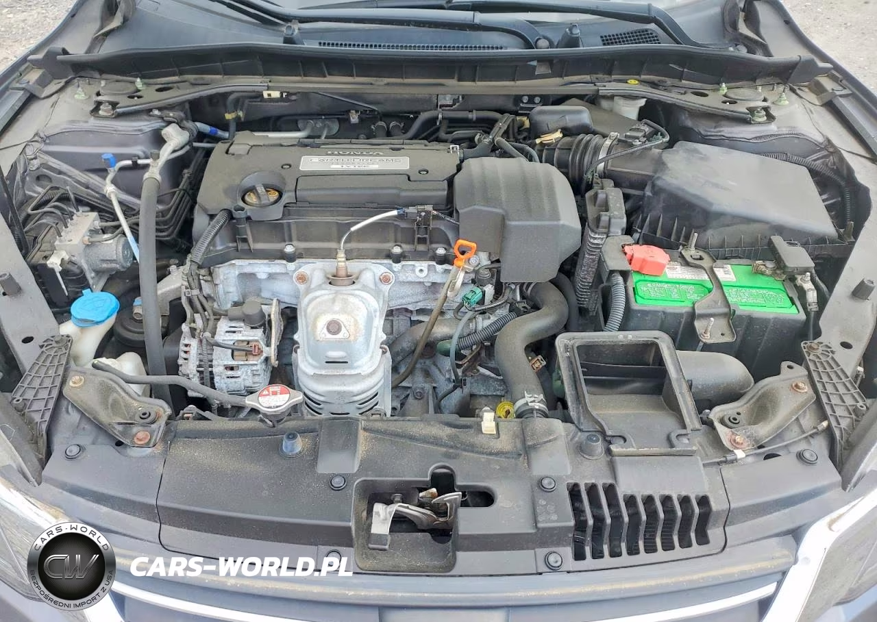 2013 Honda Accord Exl VIN:1HGCR2F8XDA272164 - 11