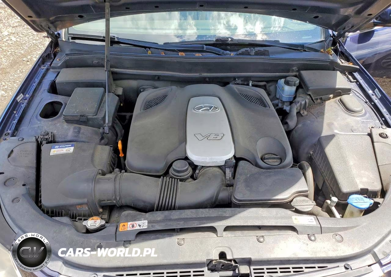 2012 Hyundai Genesis 4.6L VIN:KMHGC4DF9CU200279 - 11