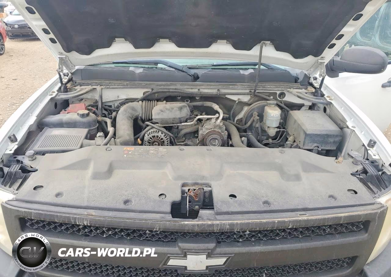 2011 Chevrolet Silverado C1500 VIN:1GCNCPEX8BZ383776 - 11