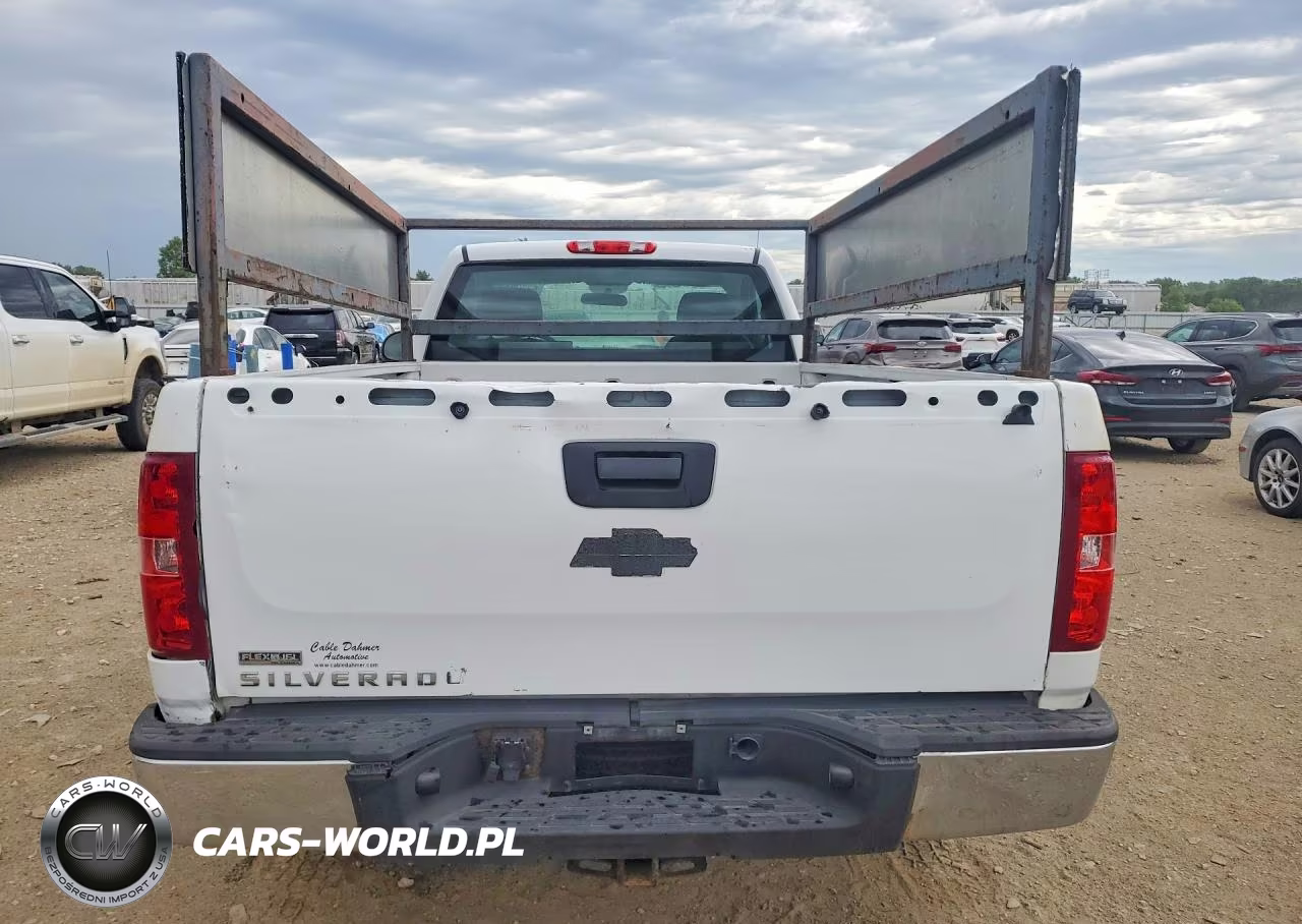 2011 Chevrolet Silverado C1500 VIN:1GCNCPEX8BZ383776 - 6