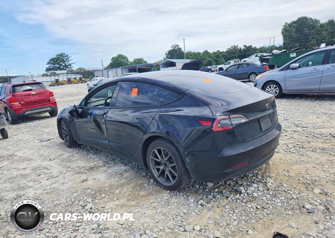 2022 Tesla Model 3 VIN:5YJ3E1EB2NF191556 - 2