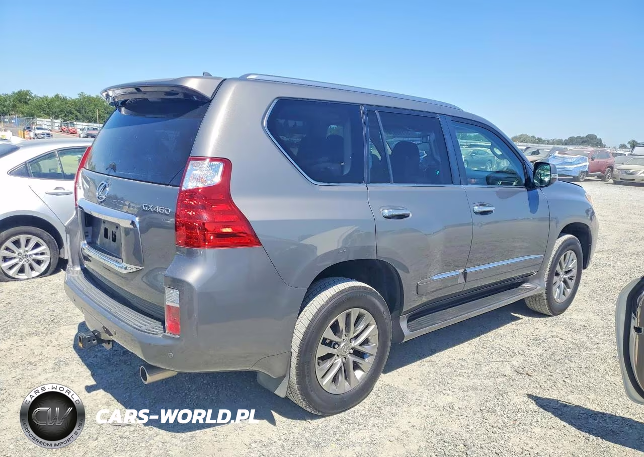 2010 Lexus Gx 460 Premium VIN:JTJJM7FXXA5013331 - 3