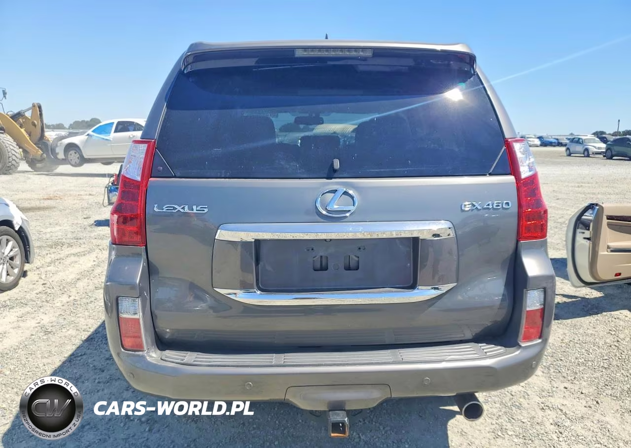 2010 Lexus Gx 460 Premium VIN:JTJJM7FXXA5013331 - 6