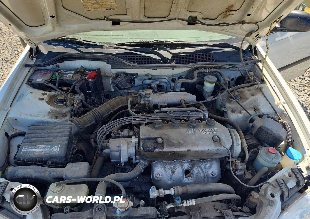 1995 Honda Civic Lx VIN:JHMEG8655SS019958 - 11