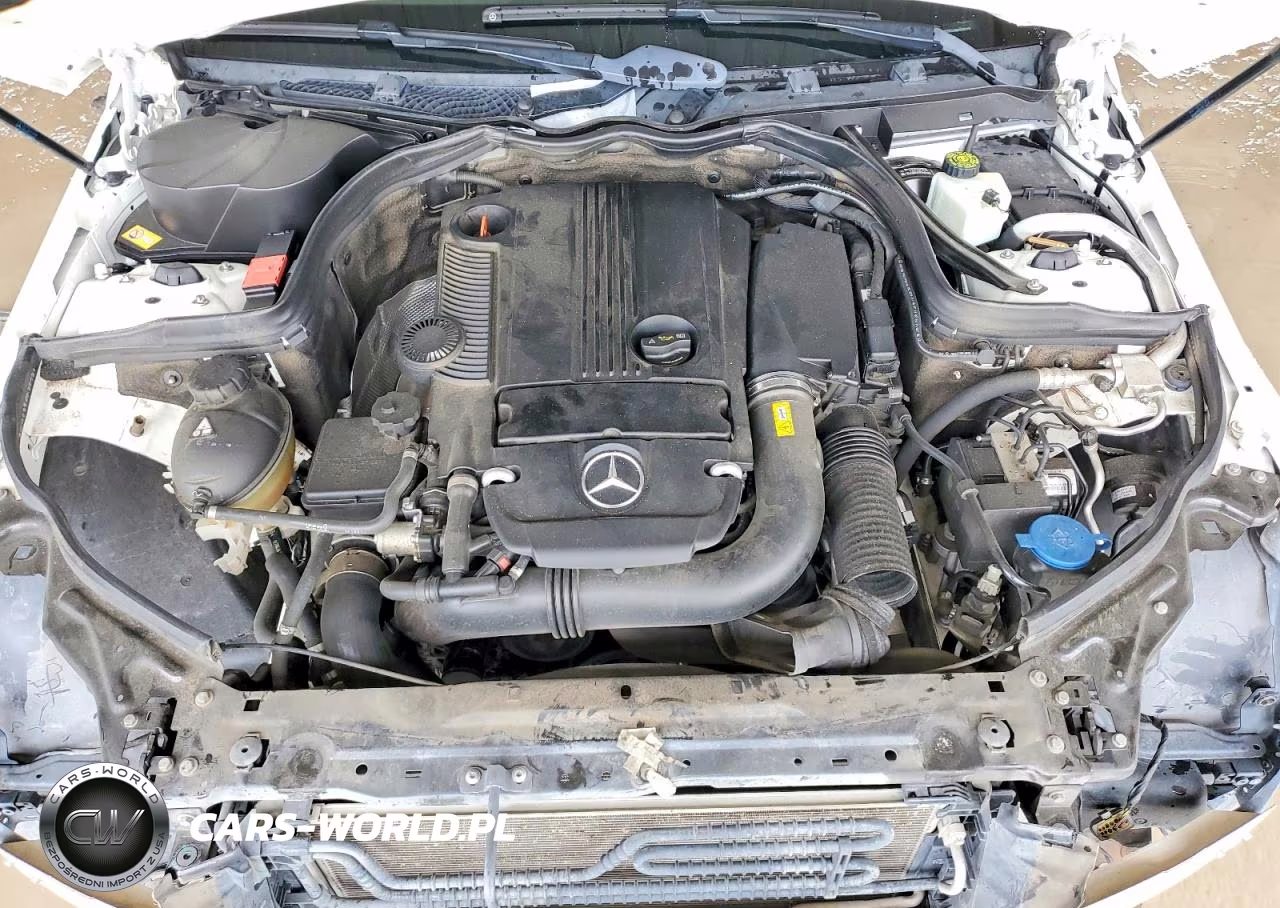 2014 Mercedes-Benz C 250 VIN:WDDGJ4HB6EG200278 - 11